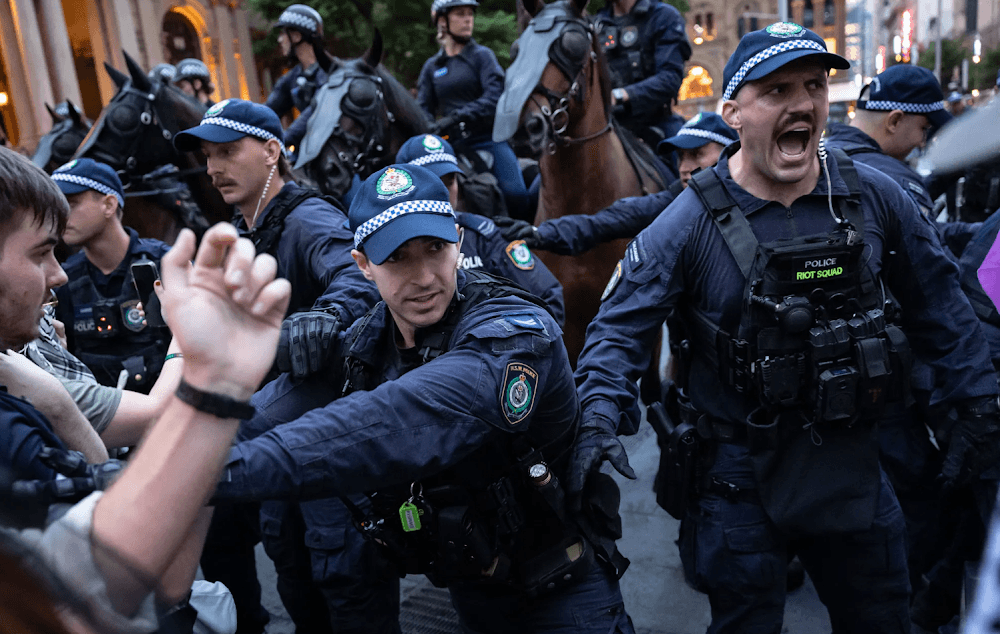 The Capitalist State: Power, Coercion, and Class Rule